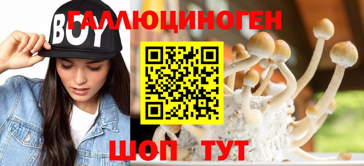 Галлюциногенные грибы Cubensis Туапсе