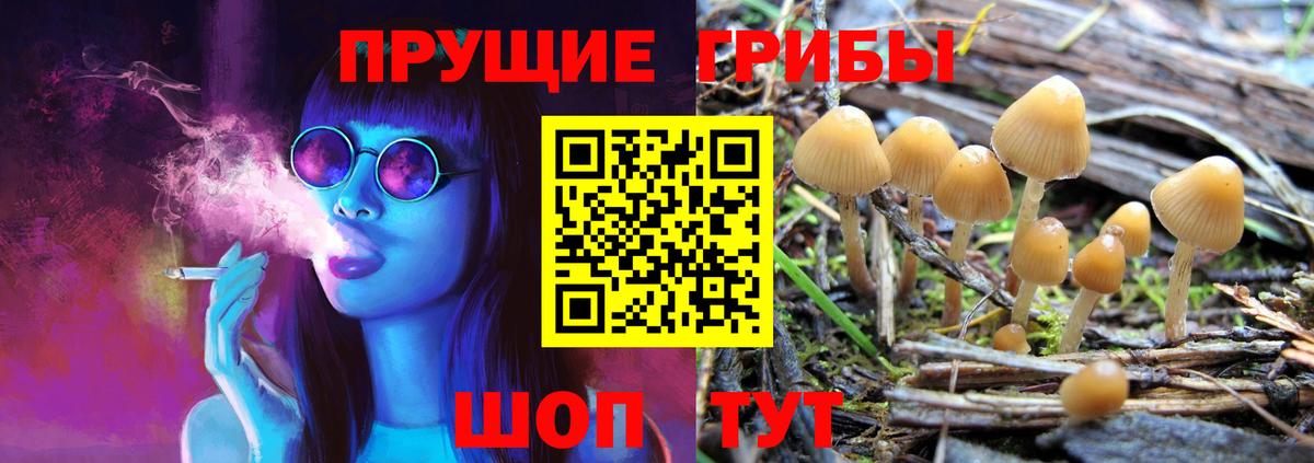 Галлюциногенные грибы ЛСД  купить наркоту  Вход с VPN  Туапсе  Псилоцибиновые грибы прущие грибы 